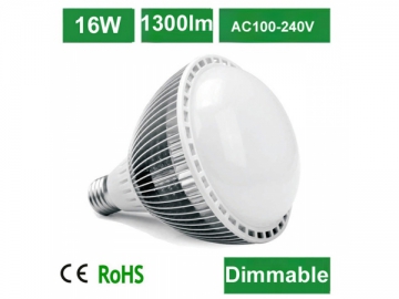G09 16W LED Bulb