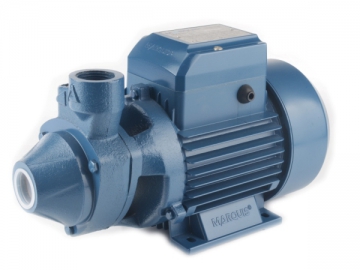 MKPH Series Hot Water Peripheral Pump