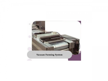 Automatic Vacuum Packaging Machine (DZD-810/2SD)