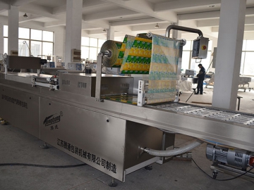 Automatic Vacuum Packaging Machine (DZD-810/2SD)