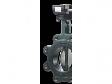 RBV020 Series Lugged Resilient Seated Butterfly Valve