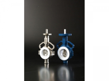 RBV060 Series PTFE Lined Wafer Resilient Seated Butterfly Valve