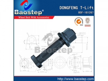 Cold Forged Dongfeng T-Lift Wheel Nuts and Bolts
