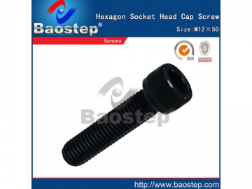 Hexagon Socket Head Cap Screw