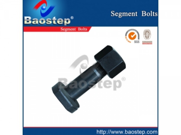 Segment Bolts with Nuts