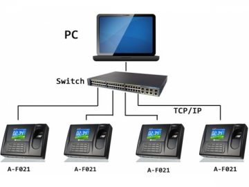 A-F011,A-F021,A-F031 Fingerprint Time and Attendance System
