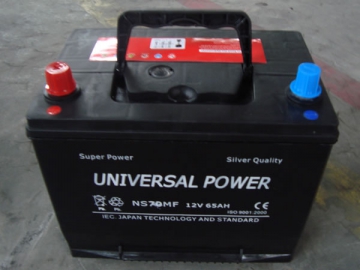Car Battery  <small>(Maintenance Free Battery)</small>