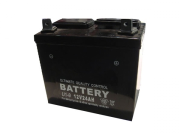 Lawn Mower Battery