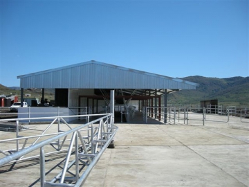Steel Framed Dairy Building