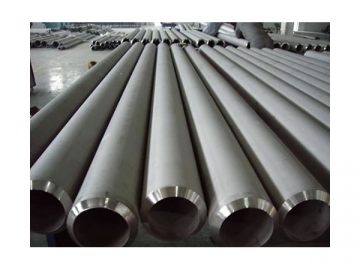 Stainless Steel Seamless Tube/Pipe