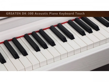 DK-300 Digital Piano with MP3 Player