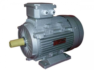 YX3 Series Three Phase Induction Motor