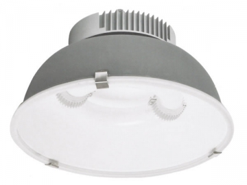 209 Series Induction High Bay Light