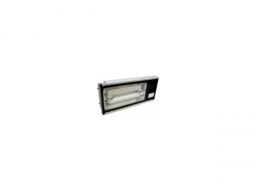 101 Series Induction Tunnel Light
