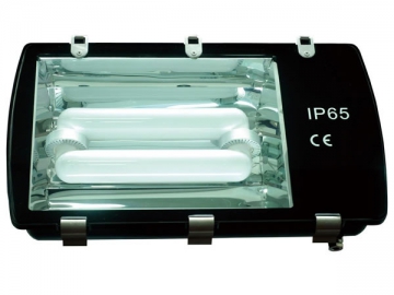 103 Series Induction Tunnel Light