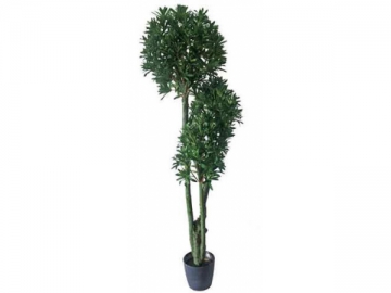 Artificial Podocarpus