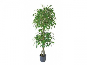 Artificial Ficus Plant