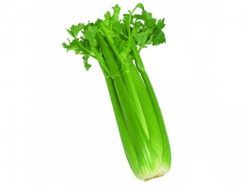 Artificial Vegetable
