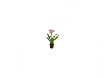 Artificial Bush Lily