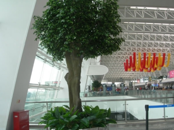 Artificial Plants for Airport, Railway Station Decoration