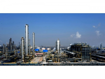 Petrochemical & Pharmaceutical Industry