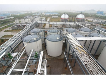 Petrochemical & Pharmaceutical Industry
