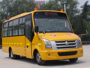 31-40 Seat School Bus