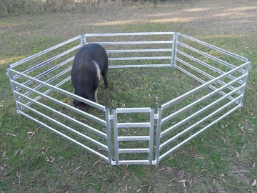 Sheep Panel