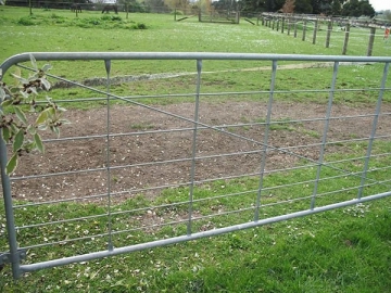 Metal Farm Gate