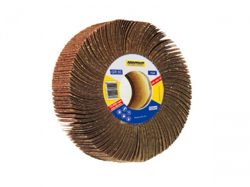 Flap Wheel with Bore