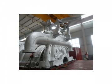 Steam Turbine <small>(Condensing Turbine for Providing Steam and Driving Generator)</small>