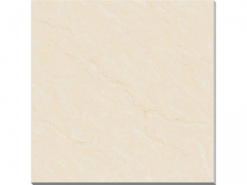 Polished Porcelain Tiles <small><br/>(Soluble Salt Series)</small>