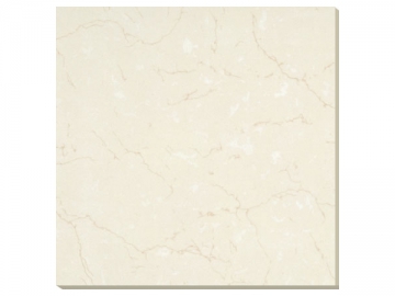 Polished Porcelain Tiles <small><br/>(Soluble Salt Series)</small>