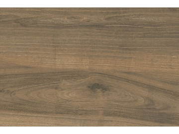Glazed Porcelain Tiles <small><br/>(Wood Texture Tiles)</small>