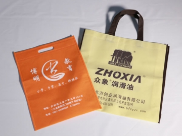 Gift Bag <small>(Provide Reusable Bag Made of Non-Woven Fabric)</small>