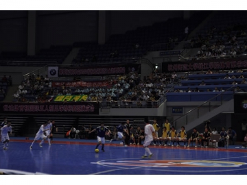 Interlocking Floor Tiles <small>(For Futsal Court Flooring)</small>