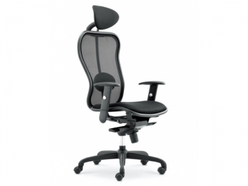 Ergonomic Manager Chair