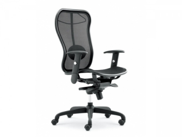 Ergonomic Manager Chair