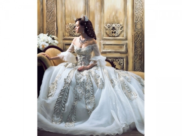 Bridal Dress For Wedding Photography
