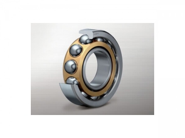 Bearing for Pumps and Compressors
