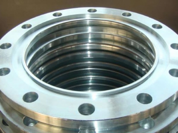 Stainless Steel Fittings and Flanges