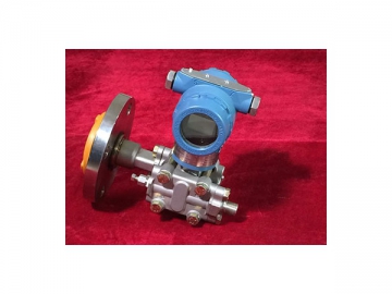 Gauge Pressure Transmitter<small> (with Diaphragm Seal)</small>