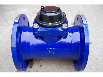 Cold / Hot Water Meter, HGLC (R) Woltman