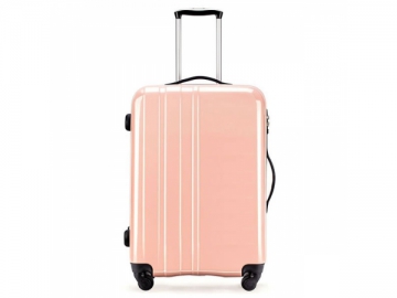 4 Spinner Wheel Suitcase / Luggage
