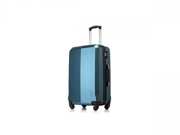 Cabin Luggage / Cabin Baggage