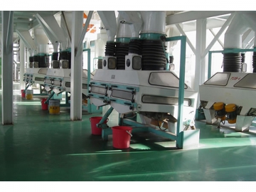 Vegetable Oil Pretreatment and Pressing Line