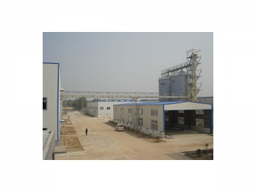 Full Fat Soybean Extrusion Line