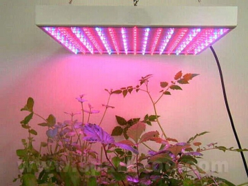 LED Grow Light Panel