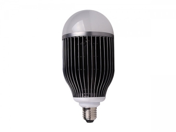 LED Bulb (E27), 18W/24W G95