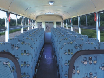 Conventional School Bus